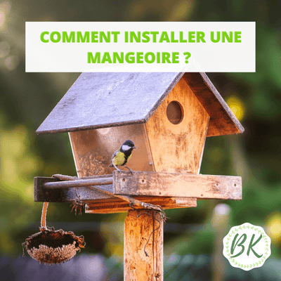 COMMENT INSTALLER UNE MANGEOIRE ?