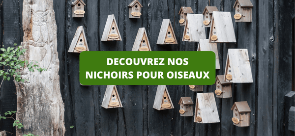 Nichoir Oiseaux