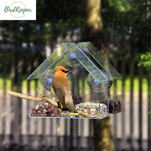 https://www.birdkeeper.fr/cdn/shop/products/mangeoire-oiseaux-maison-transparente-transparent-644_600x.jpg?v=1599457363